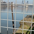 City Nature